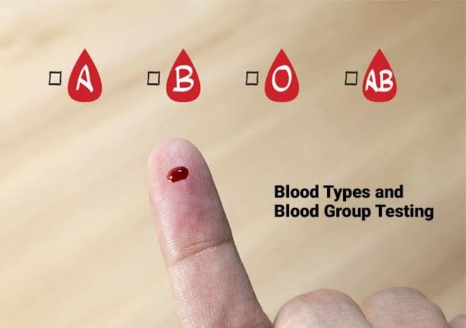 BLOOD GROUPING (ABO) TEST